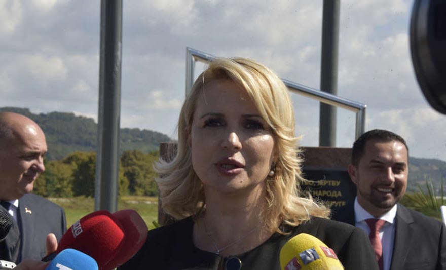 darija kisic tepavcevic.jpg